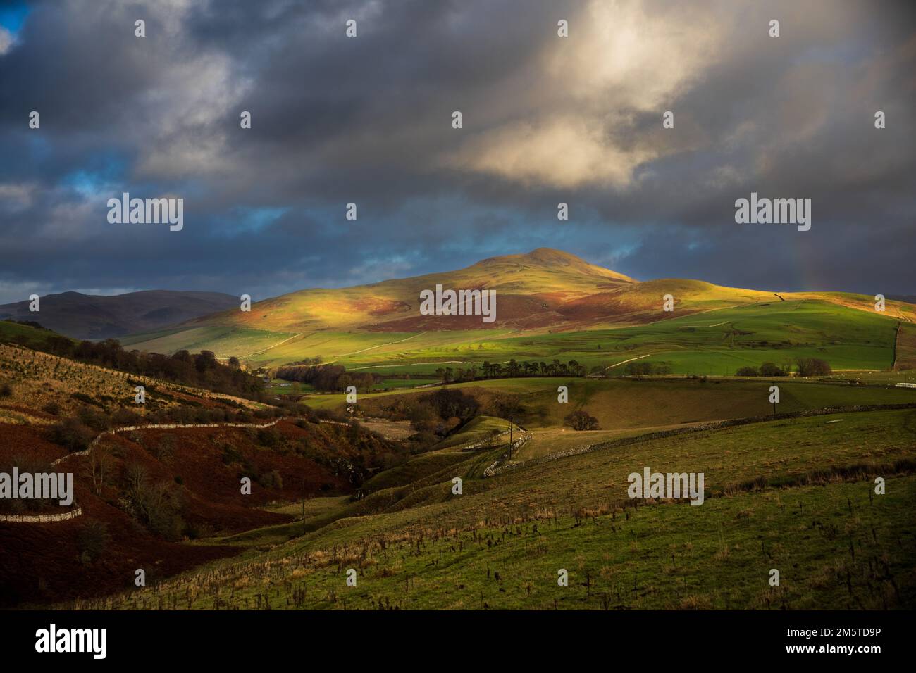 Mit Blick auf Hownam Law von Over Whitton in The Cheviot Hills, Scottish Borders, Schottland, Großbritannien Stockfoto