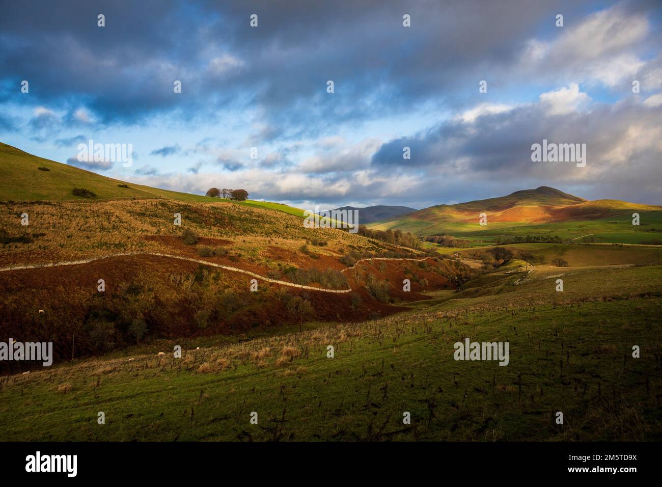 Mit Blick auf Hownam Law von Over Whitton in The Cheviot Hills, Scottish Borders, Schottland, Großbritannien Stockfoto