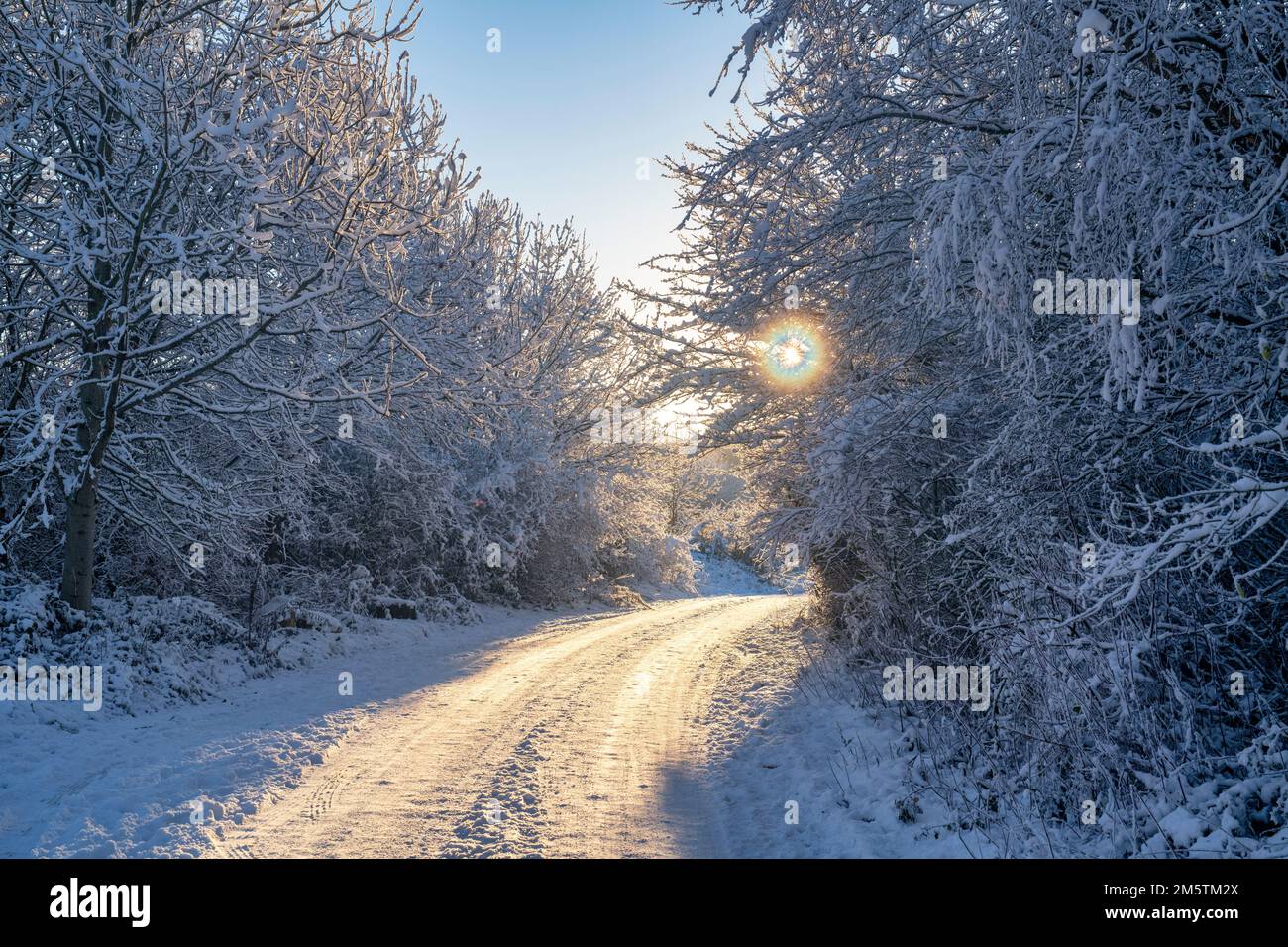 Winterstraße im Schnee in der Morgensonne. Broadway Hill, Cotswolds, Worcestershire, England Stockfoto