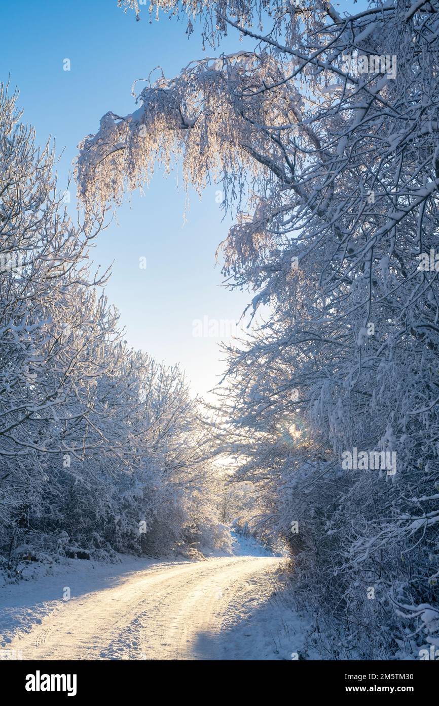 Winterstraße im Schnee in der Morgensonne. Broadway Hill, Cotswolds, Worcestershire, England Stockfoto