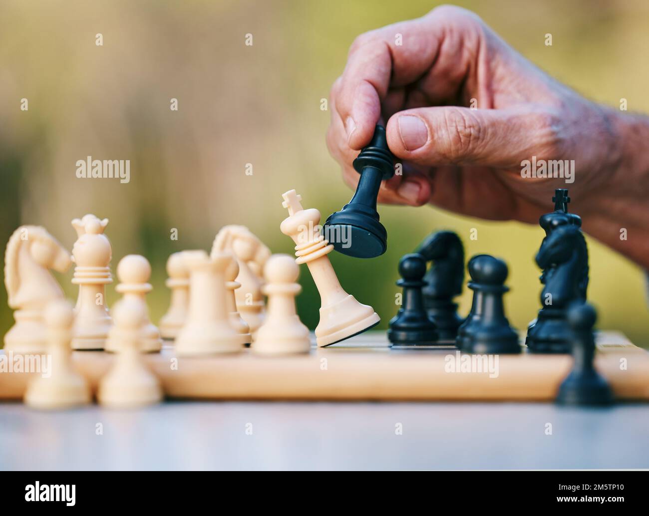 Schach, Spiel oder Hand mit einem König auf einem Brettspiel mit einer Siegerstrategie in einem Turnier in der Natur. Schachmatt, Denkweise oder kluger Mann, der mitspielt Stockfoto
