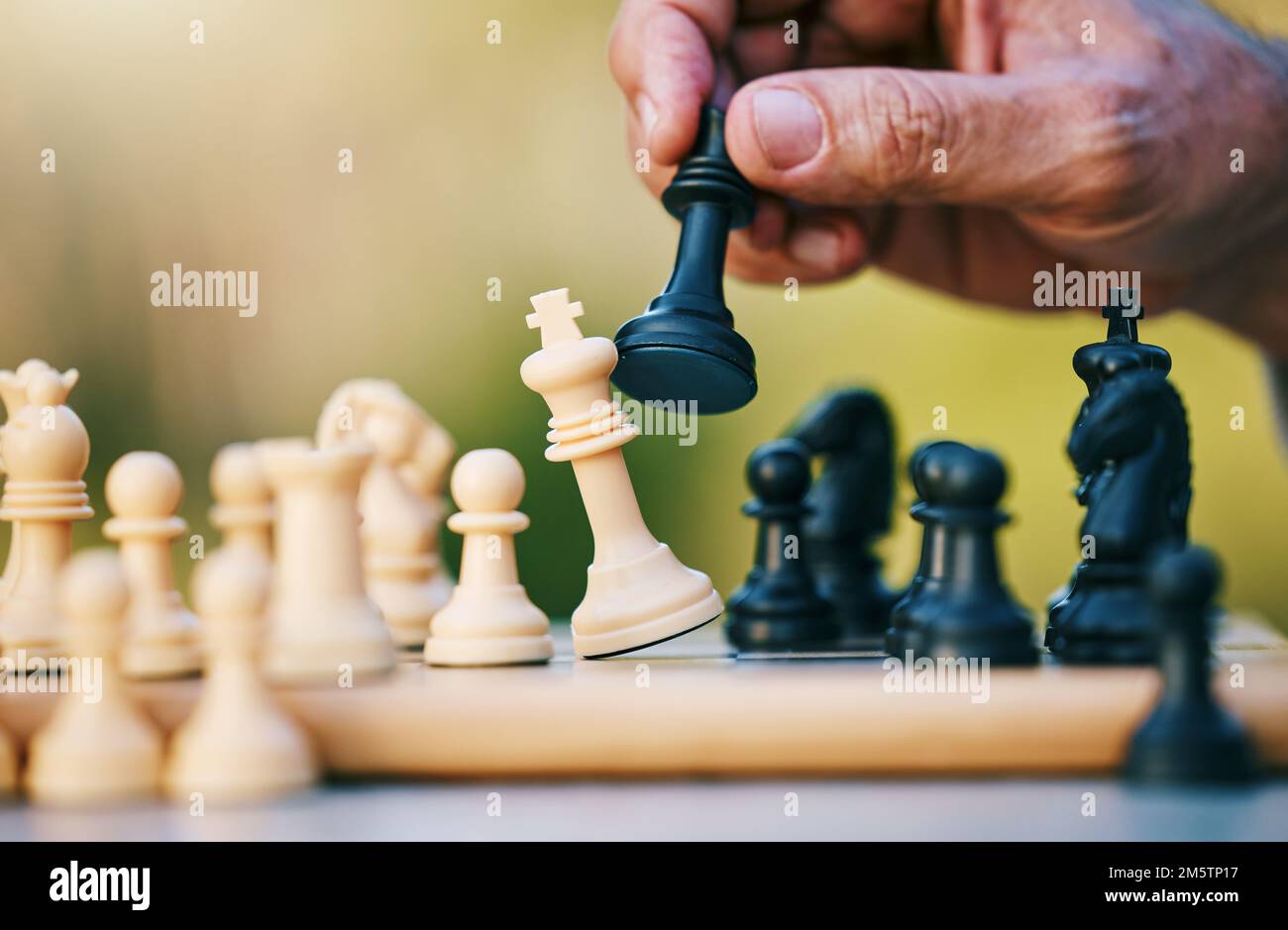 Schach, Spiel oder Hand mit einem König auf einem Brettspiel mit einer Siegerstrategie in einem Turnier in der Natur. Schachmatt, Denkweise oder kluger Mann, der mitspielt Stockfoto