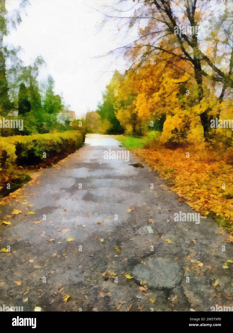 Alte Asphaltstraße, herbstliche Blätter und Herbstbäume, Digitalmalerei, Fotobearbeitung. Stockfoto