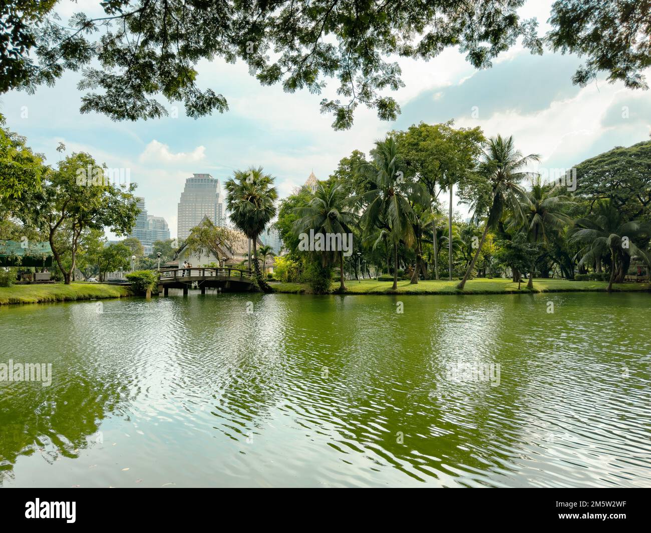 Wassermonitore im Wohnraumpark zwischen Geschäftsgebäuden im Lumpini Park, Bangkok, Thailand Stockfoto