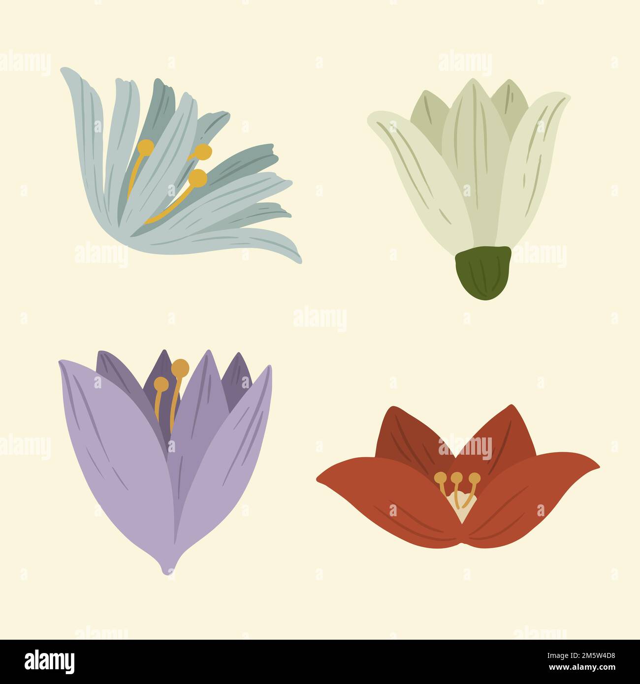 Blühende Winter Botanicals Social Ads Vorlagenvektor Stock Vektor