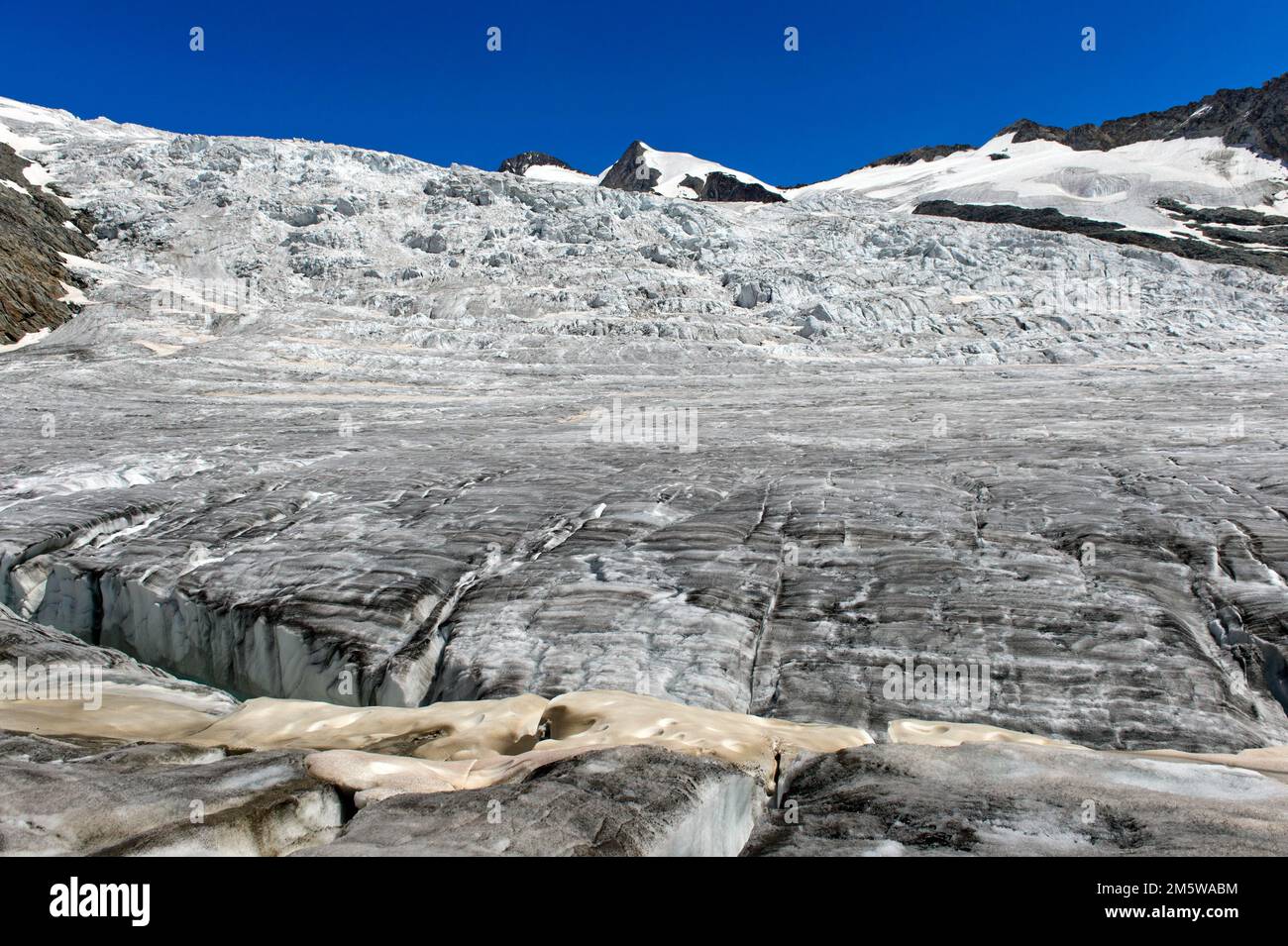 Gletscherurlaub in Ewigschneefeld, Konkordiaplatz, Grindelwald, Jungfrau Region, Berner Oberland, Die Schweiz Stockfoto
