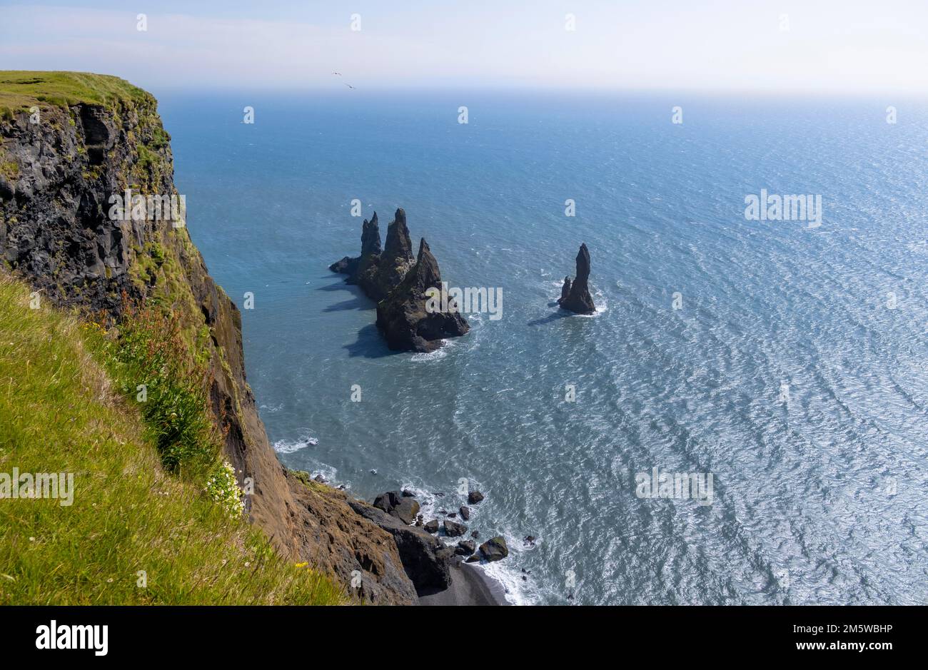 Klippe, Rock Reynisdrangar im Wasser, am Reynisfjara Strand, Vik, Süd Island, Island Stockfoto
