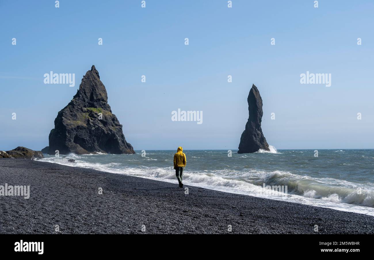 Touristen am schwarzen Strand, Rock Reynisdrangar im Wasser, am Reynisfjara Strand, Vik, Süd Island, Island Stockfoto