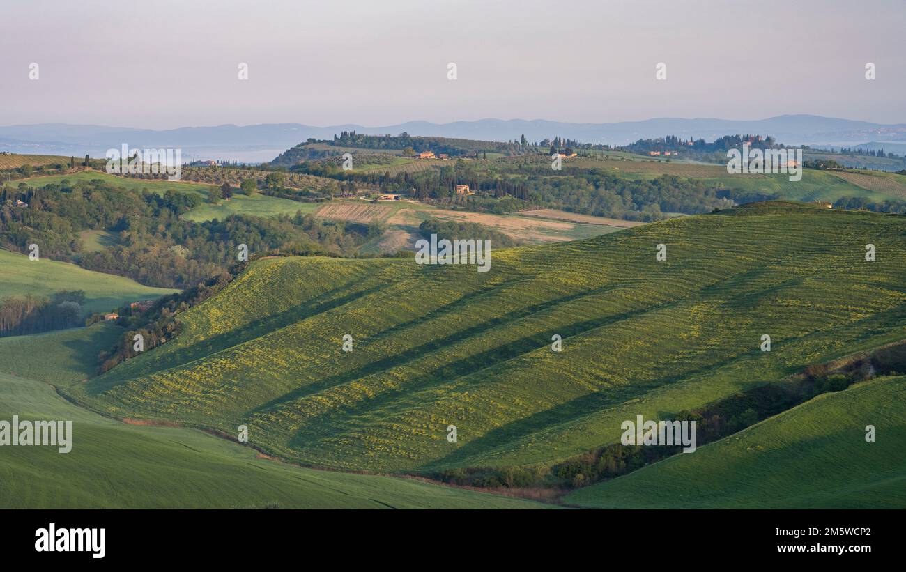 Typische toskanische Landschaft, Provinz Siena, Toskana, Italien Stockfoto