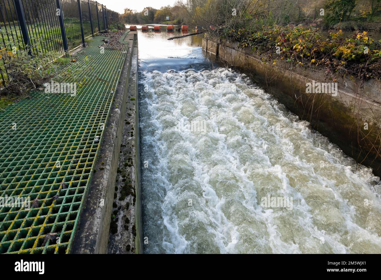 Sprotbrough und Warmsworth Fish and Ael Pass am Fluss Don, gegenüber Boat Inn, Sprotbrough, Doncaster, South Yorkshire, England, Großbritannien Stockfoto