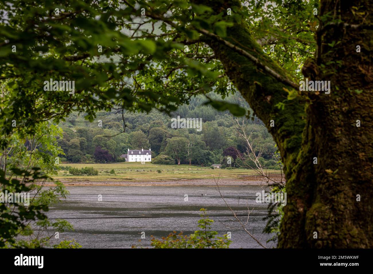 Glenure House on the Druimavuic Estate, Argyll and Bute, Schottland, Großbritannien Stockfoto