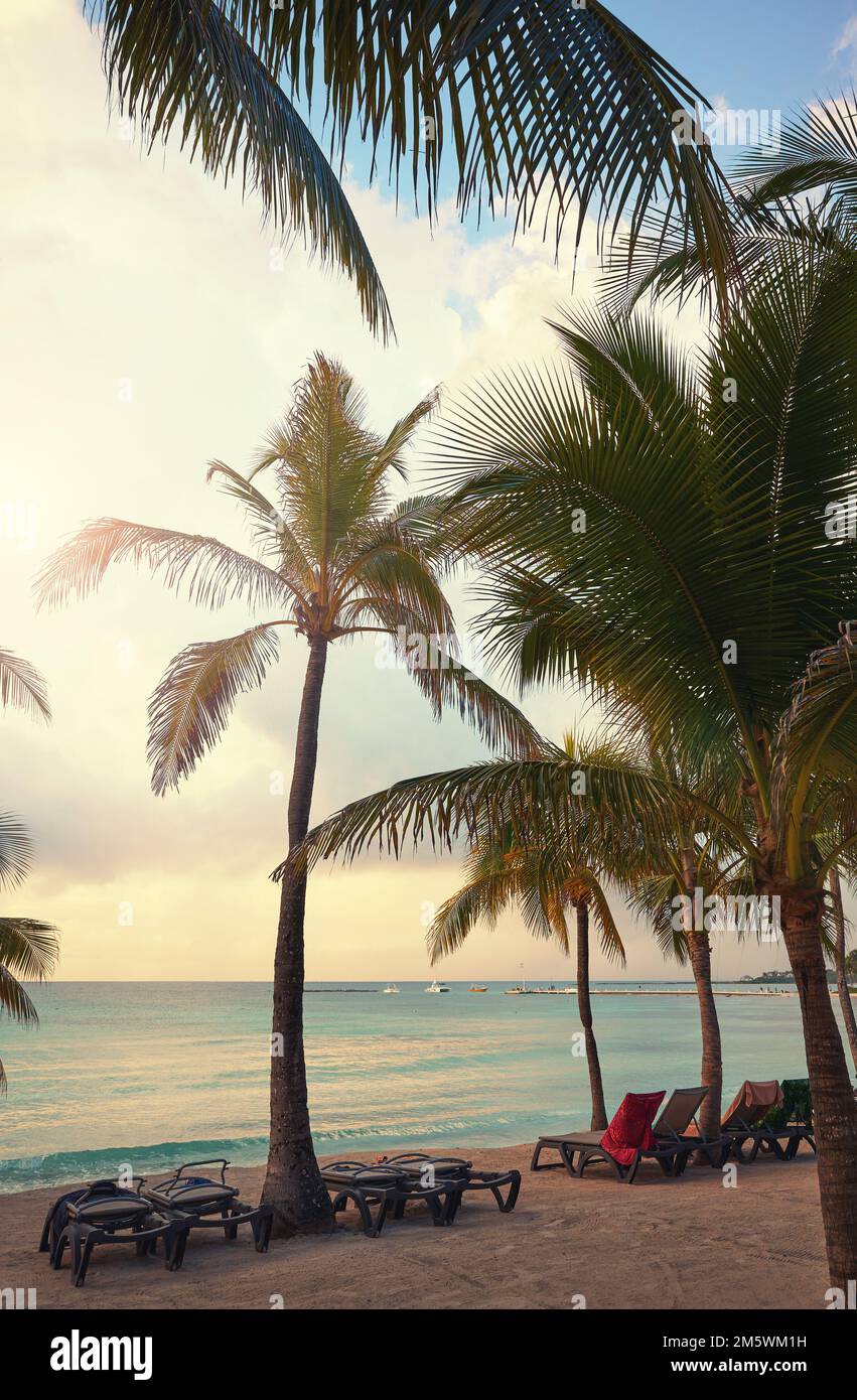 Tropischer Strand an der mexikanischen Karibikküste mit Kokospalmen. Stockfoto
