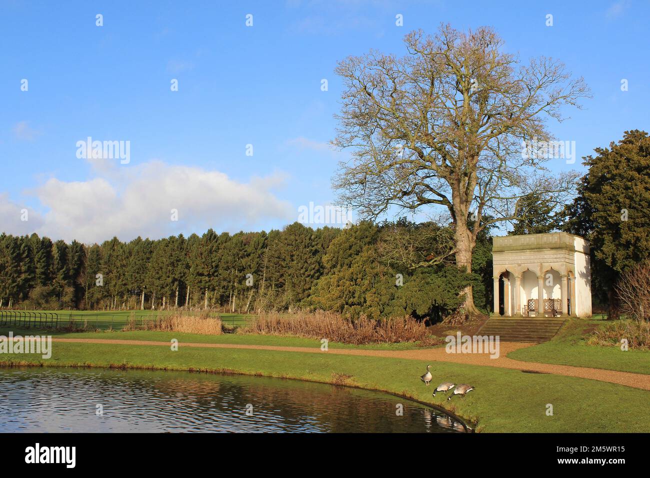 Gothic Seat Neben Small Pond, Hardwick Park, Großbritannien Stockfoto