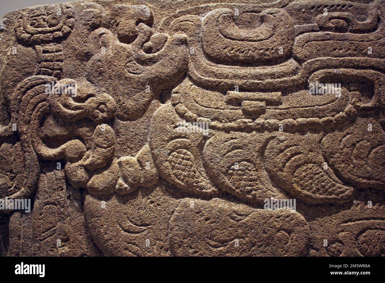 Cartouche zeigt Gott Itzamnaaj mit dem Körper Eines Vogels - die Glyphen von XIB (Vogel) und Muut (Mann) sind ebenfalls geschnitzt Stockfoto