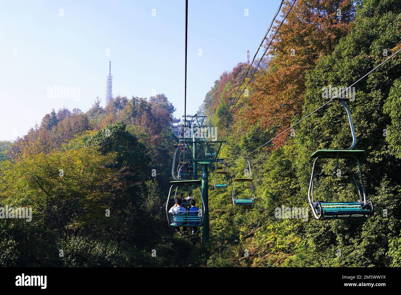 Die Seilbahnen umgeben von Bäumen im Wald, China, Changsha, Yuelu Berg Stockfoto