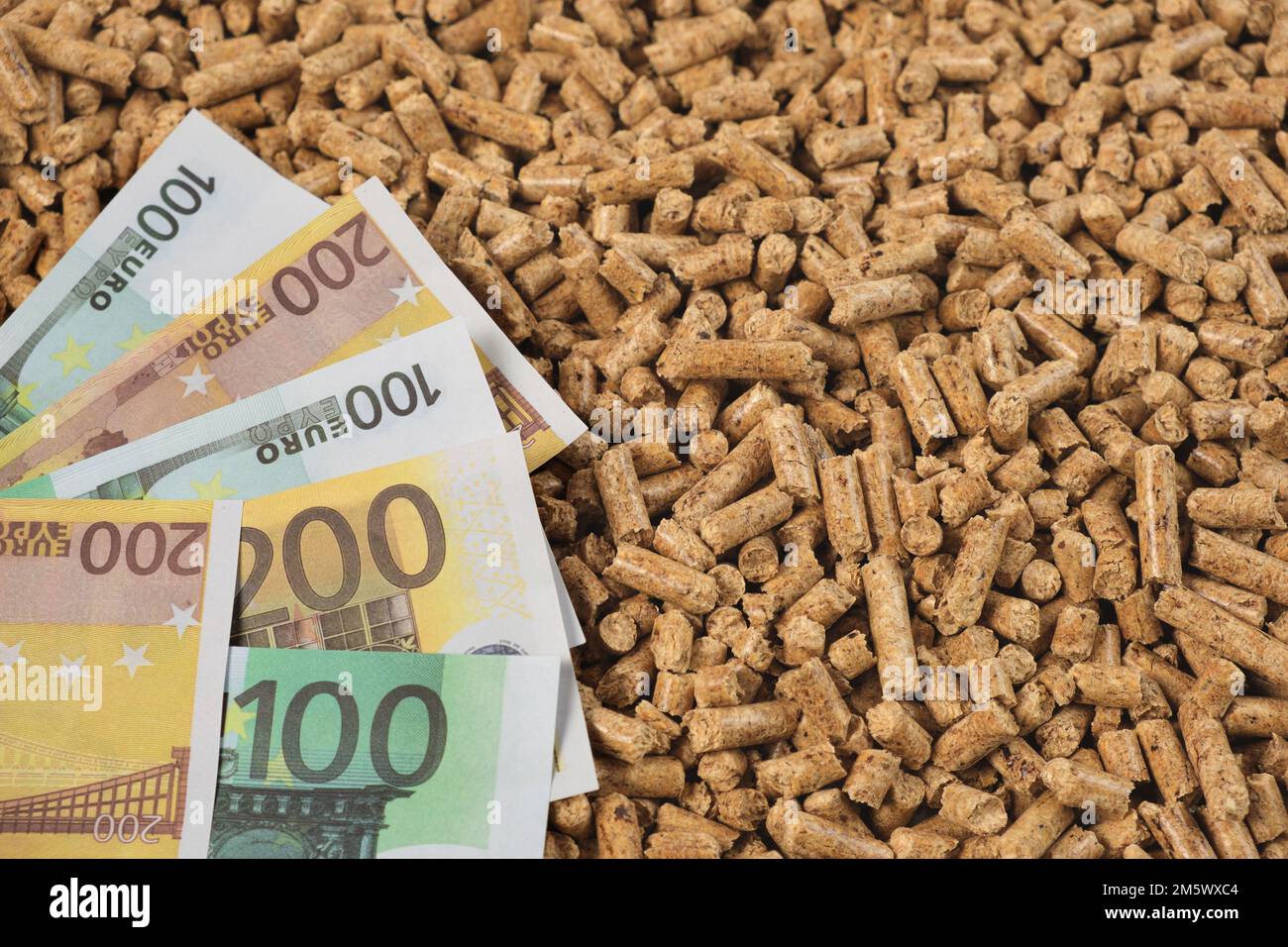 Pelletbrennstoff. Holzsägemehl, Pellets und Papierbanknoten, Geld. Euro-Währung und Biokraftstoff-verdichtete Briketts. Ersatz für Kohle, Holzkohle. Weltgas Stockfoto