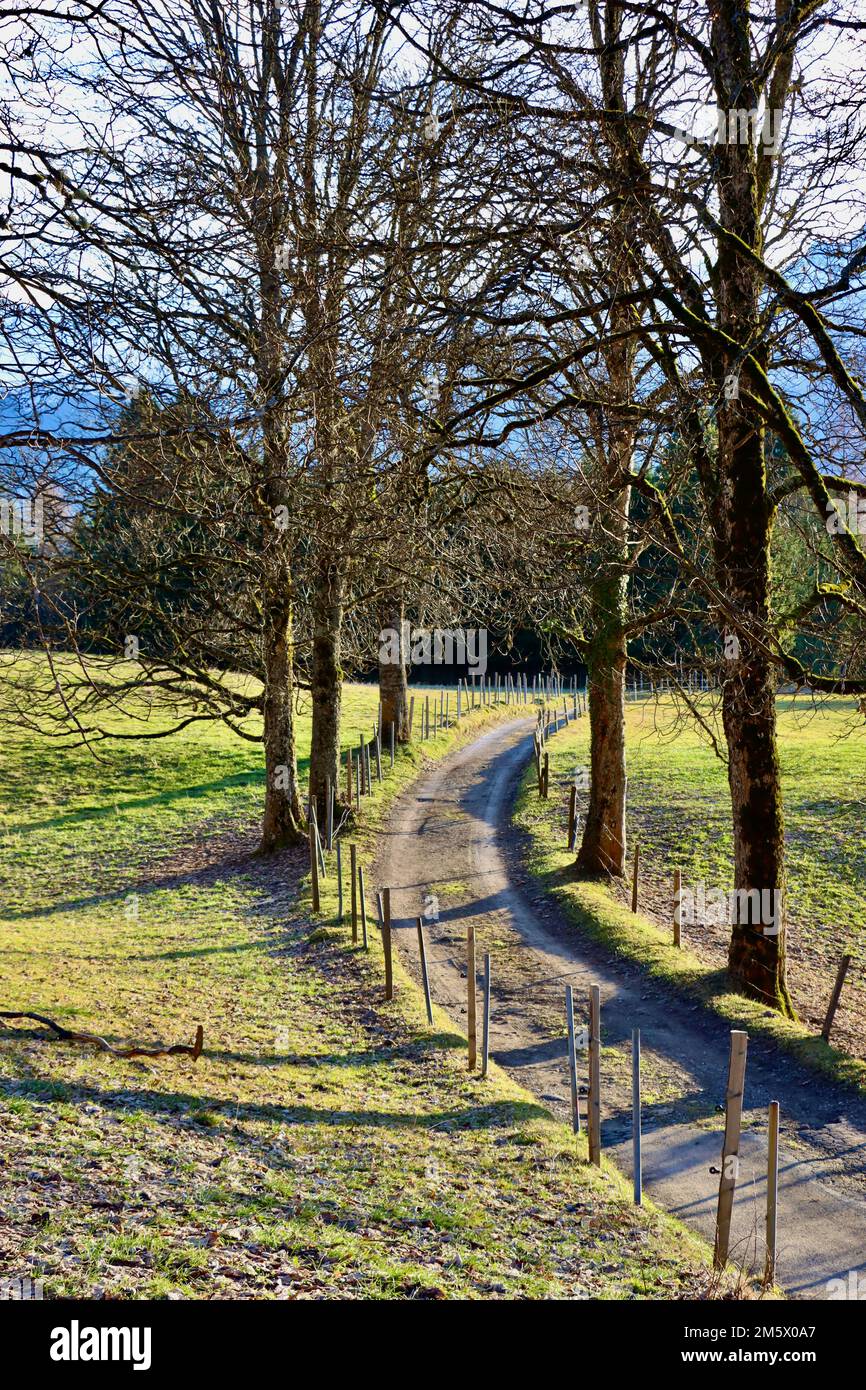 Ende Dezember 2022 warmes Wetter in Les Ecovets über Villars sur Ollon. Frühling zu Weihnachten. Stockfoto
