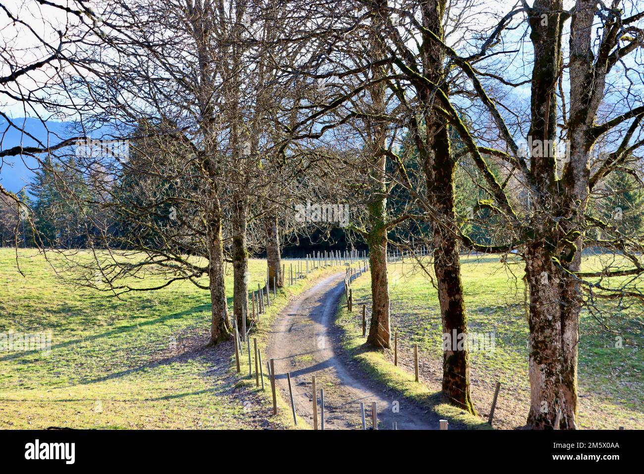 Ende Dezember 2022 warmes Wetter in Les Ecovets über Villars sur Ollon. Frühling zu Weihnachten. Stockfoto