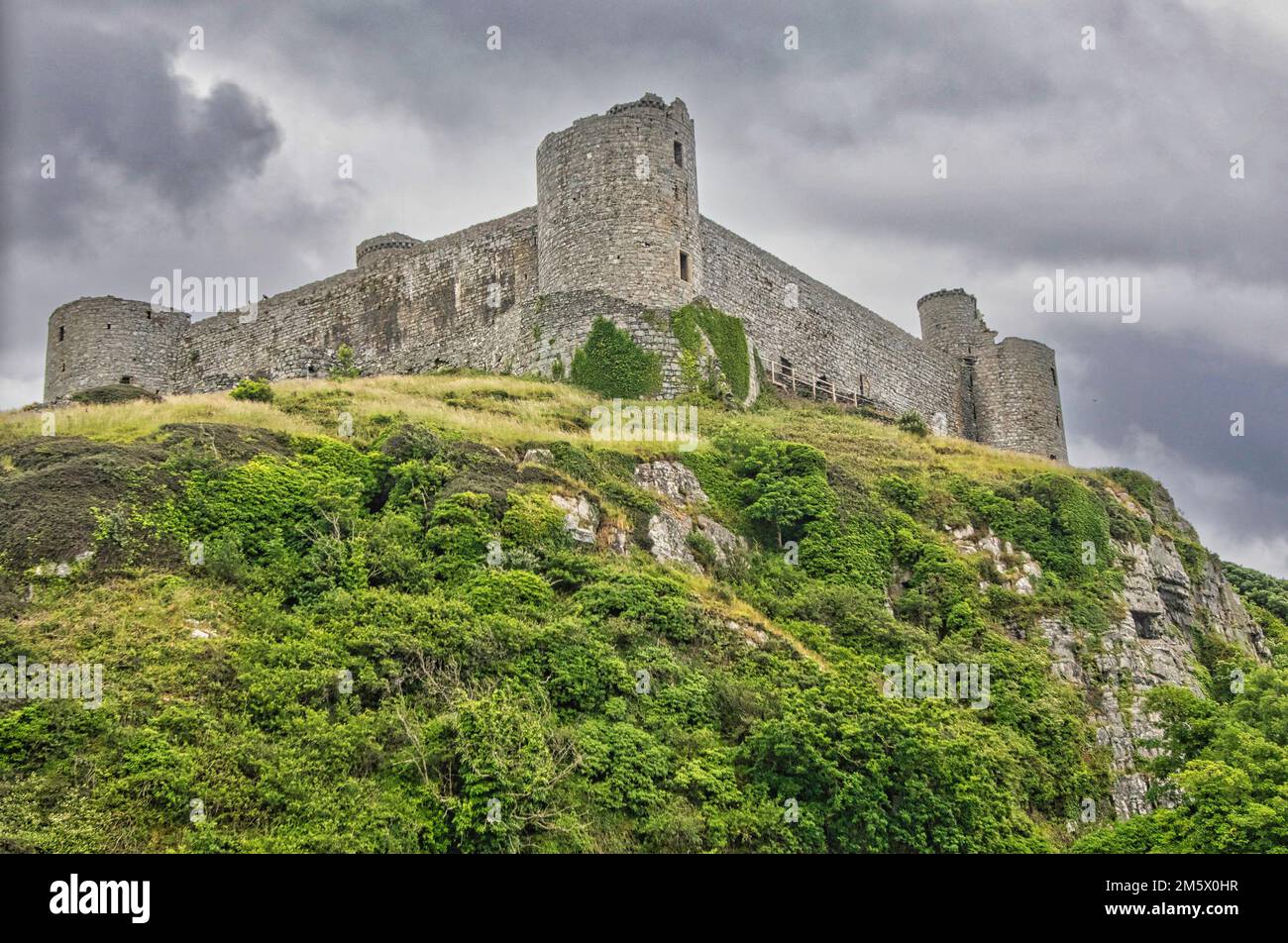 Harlech Castle in Nordwales Stockfoto