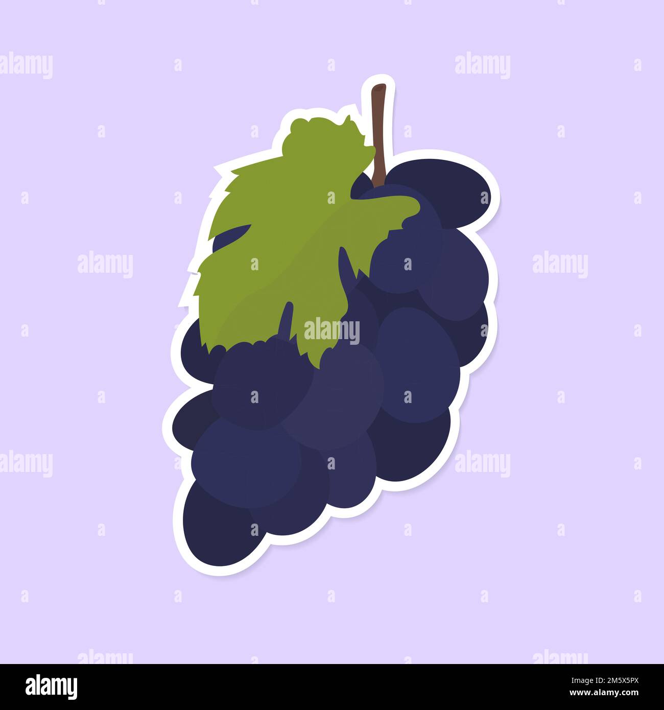 Vektor bunte Weintrauben Lebensmittelaufkleber Clipart Stock ...