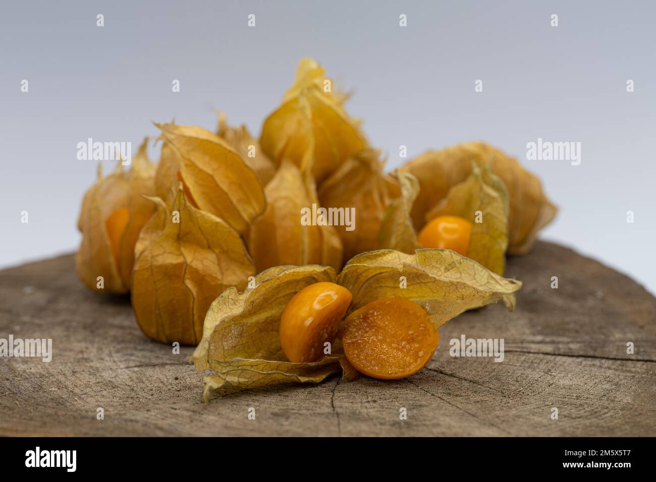 physalis Fruit, Goldene Beeren mit gesundheitlichen Vorteilen, typische Physalis Fruit ist ähnlich wie eine feste Tomate in Textur, und wie Erdbeeren oder pi Stockfoto