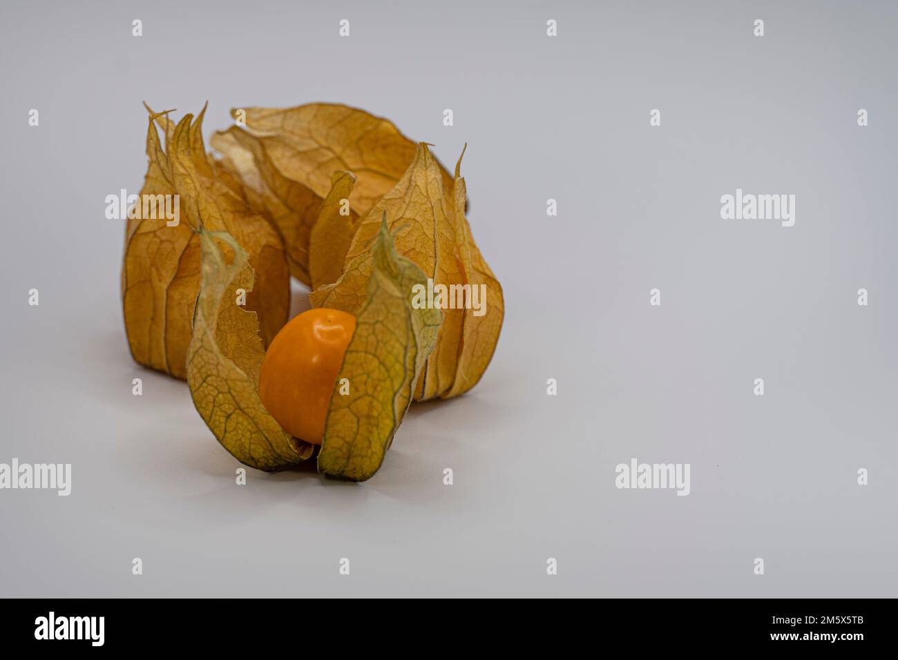 physalis Fruit, Goldene Beeren mit gesundheitlichen Vorteilen, typische Physalis Fruit ist ähnlich wie eine feste Tomate in Textur, und wie Erdbeeren oder pi Stockfoto