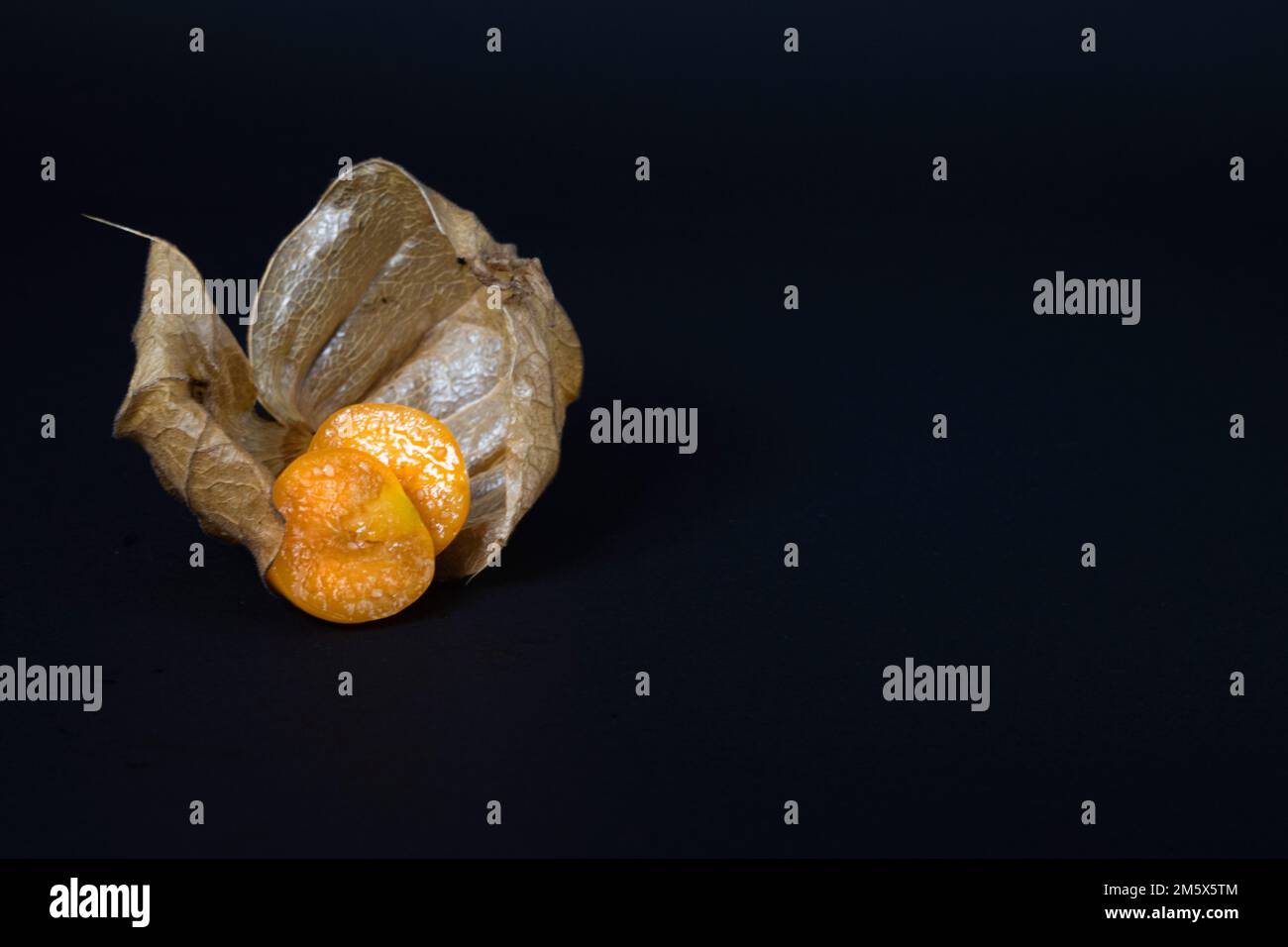 physalis Fruit, Goldene Beeren mit gesundheitlichen Vorteilen, typische Physalis Fruit ist ähnlich wie eine feste Tomate in Textur, und wie Erdbeeren oder pi Stockfoto