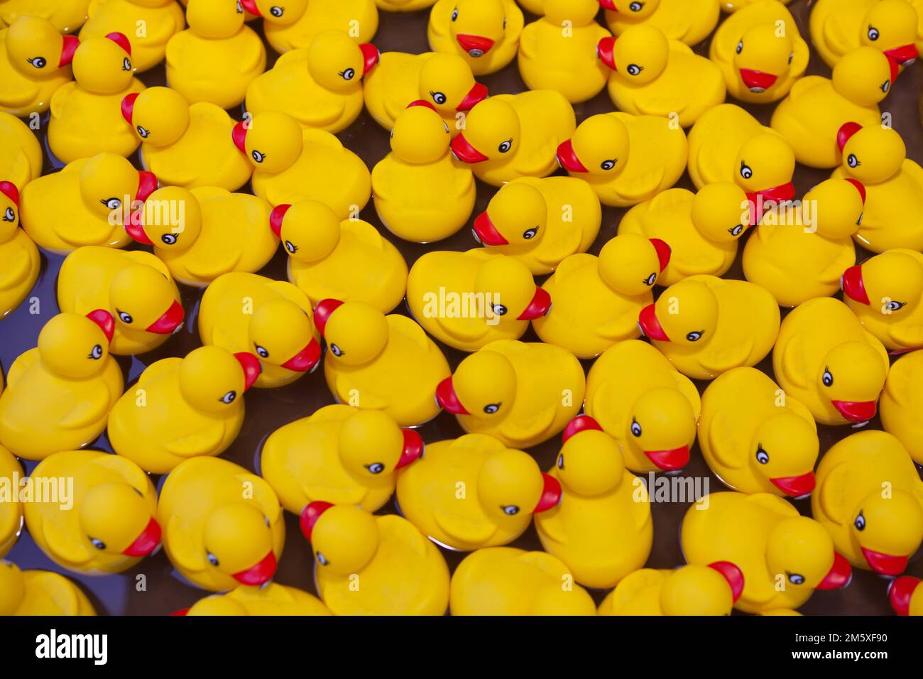 Viele schwimmende gelbe Gummienten - Spielzeugdesign. Teamarbeit. Sitzungen Zusammenarbeit Der Gemeinschaft Stockfoto