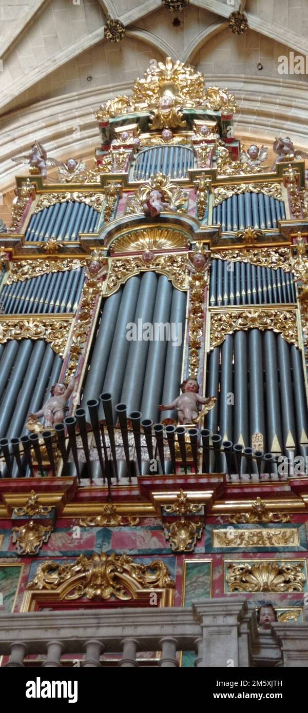 La Catedral Nueva de Salamanca ou Nouvelle cathédrale de Salamanque placée sous l'invocation de l'Assomption de la Vierge, est, avec l'ancienne cathéd Stockfoto