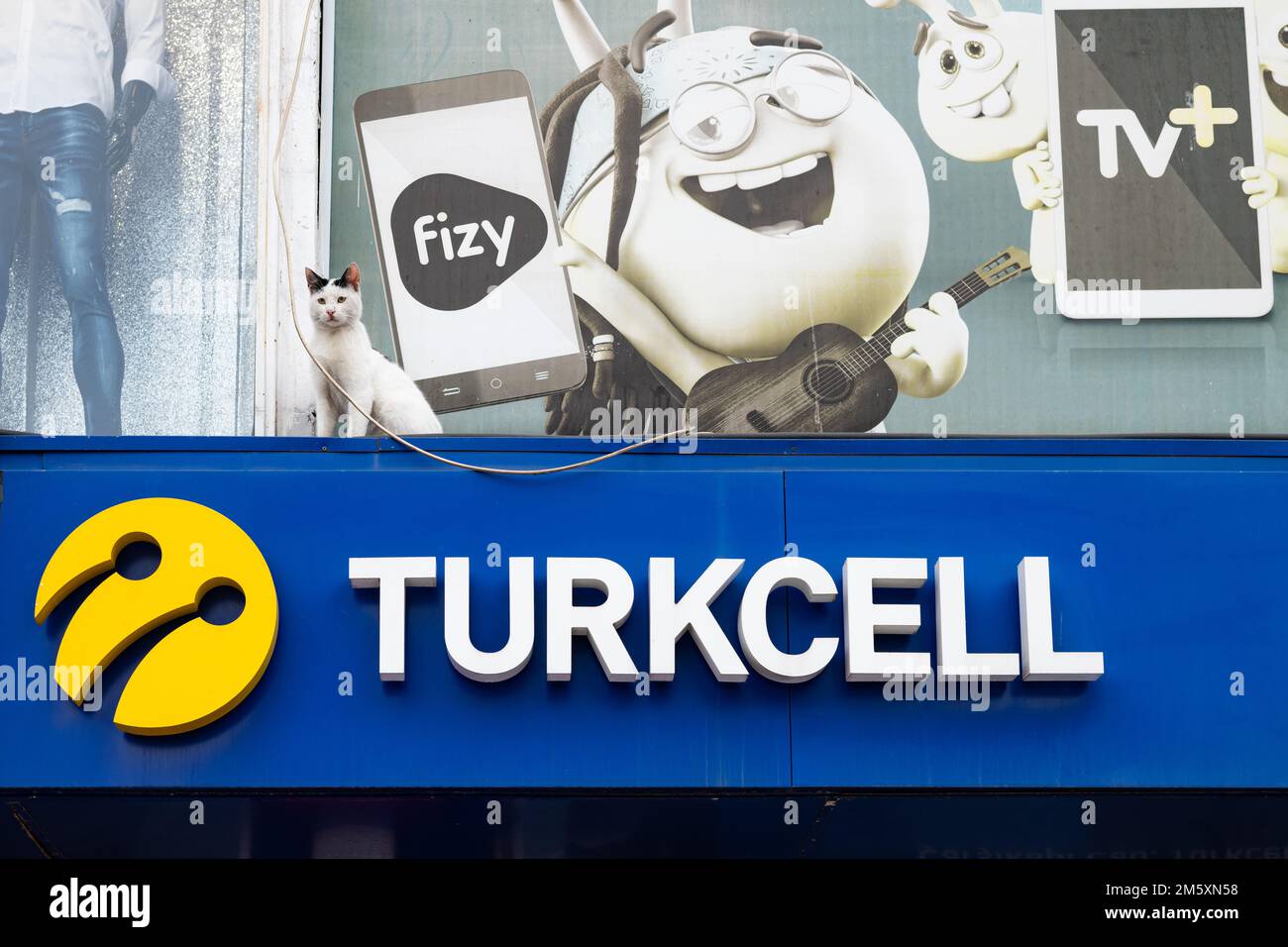 CAT saß vor der Fizy-Plattform für digitale Musik, die über dem Turkcell-Schild, Istanbul, Türkei, Werbung machte Stockfoto