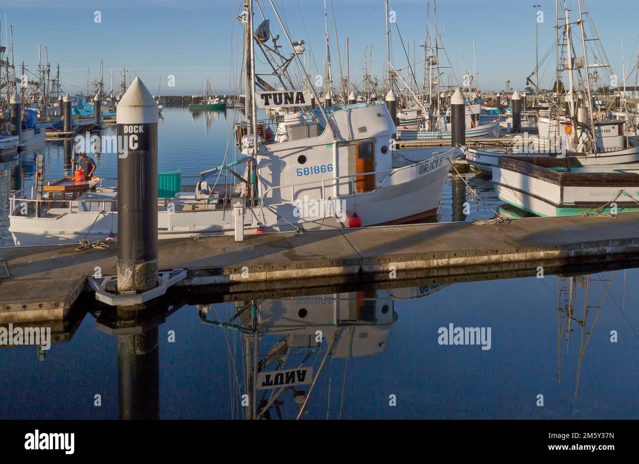 Fischerboote im Hafen von Crescent City, Oracle Dock „C“, Fischer, die „Thunnus alalunga“ zum Verkauf anbieten, weißer Thun. Stockfoto