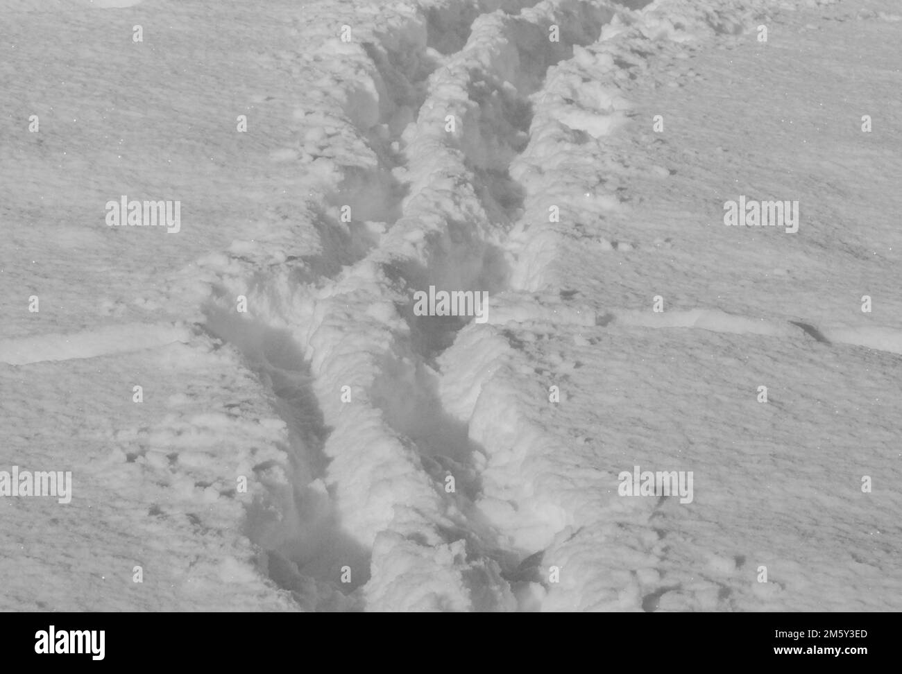 Großer Winkel der Raupenketten in tiefem Schnee Stockfoto