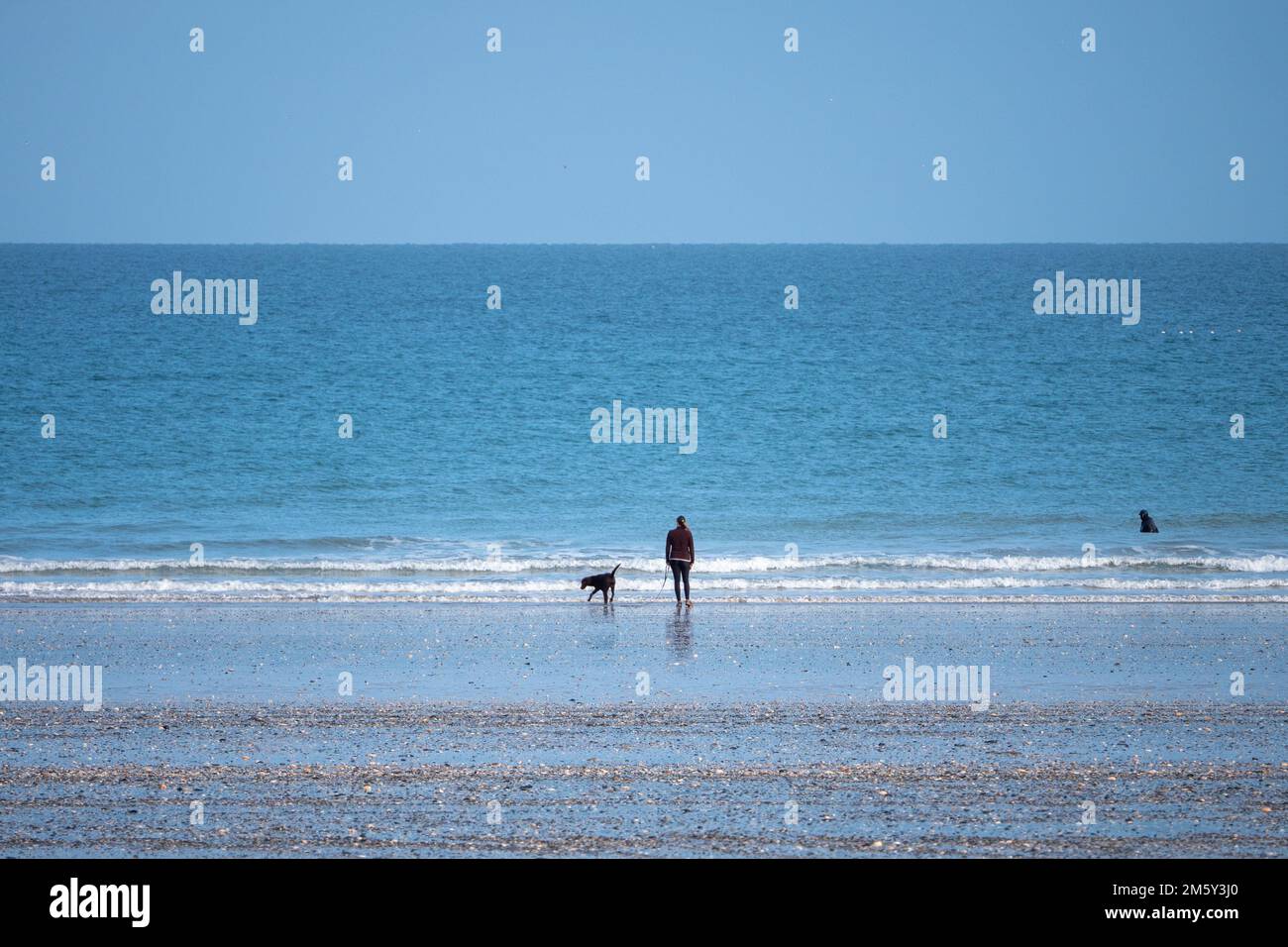 Eine schöne Aufnahme einer Dame mit einem Hund an der Küste eines Meeres Stockfoto