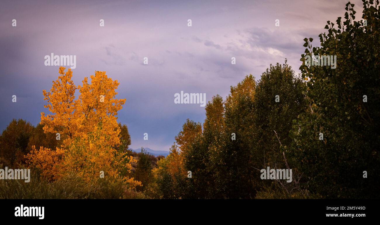 Ein Einblick in die wechselnden Jahreszeiten im Castle Rock, südlich von Denver, der Front Range von Colorado. Lebendige Farben kombiniert mit einer beruhigenden Szene. Stockfoto