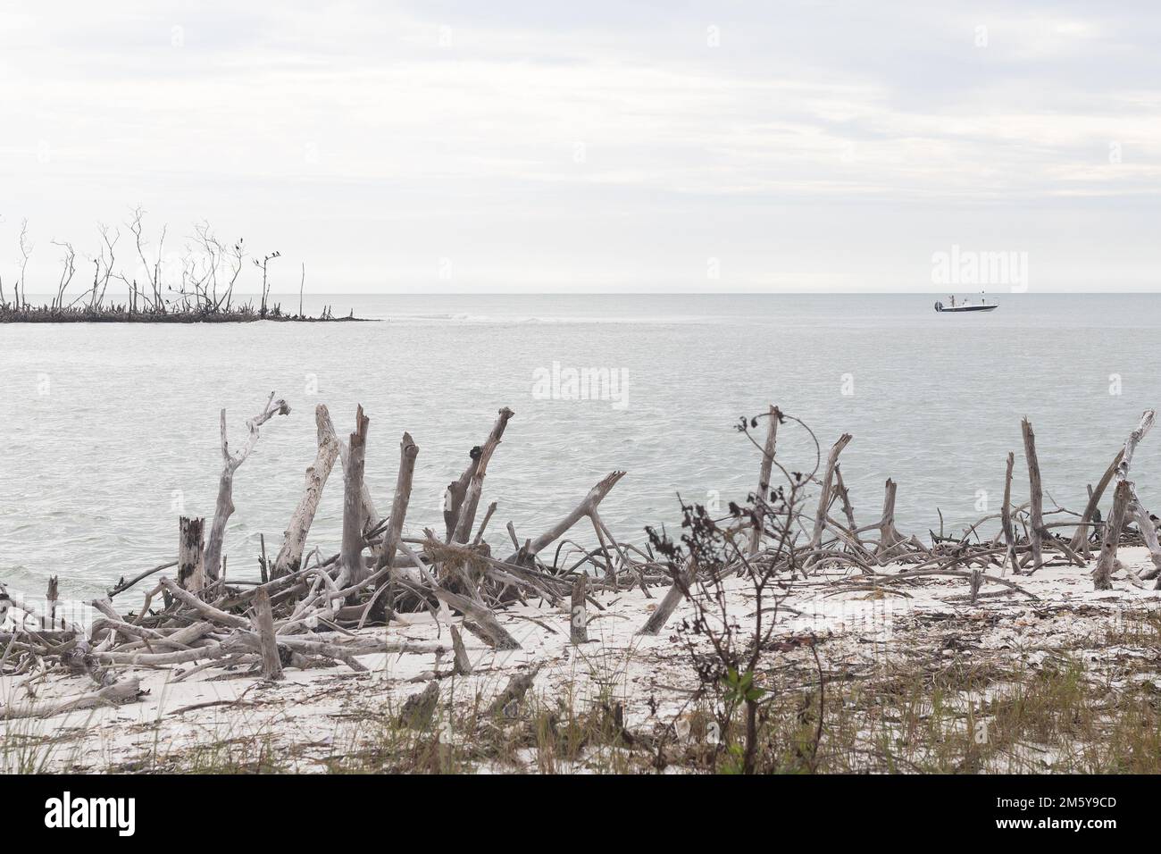 Ein Boot auf dem Golf von Mexiko in der Nähe der Ten Thousand Islands in Florida. Stockfoto