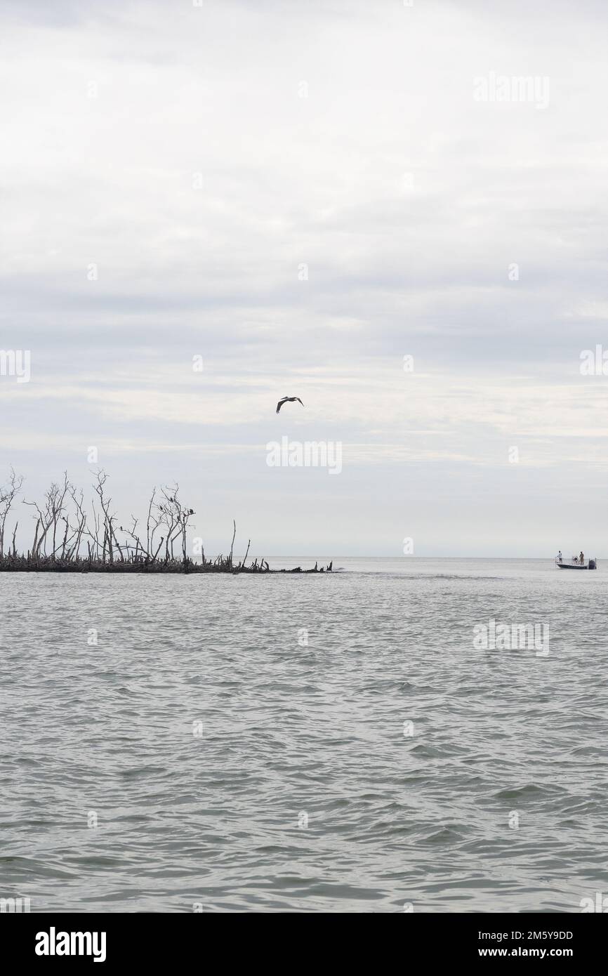 Ein Boot auf dem Golf von Mexiko in der Nähe der Ten Thousand Islands in Florida. Stockfoto