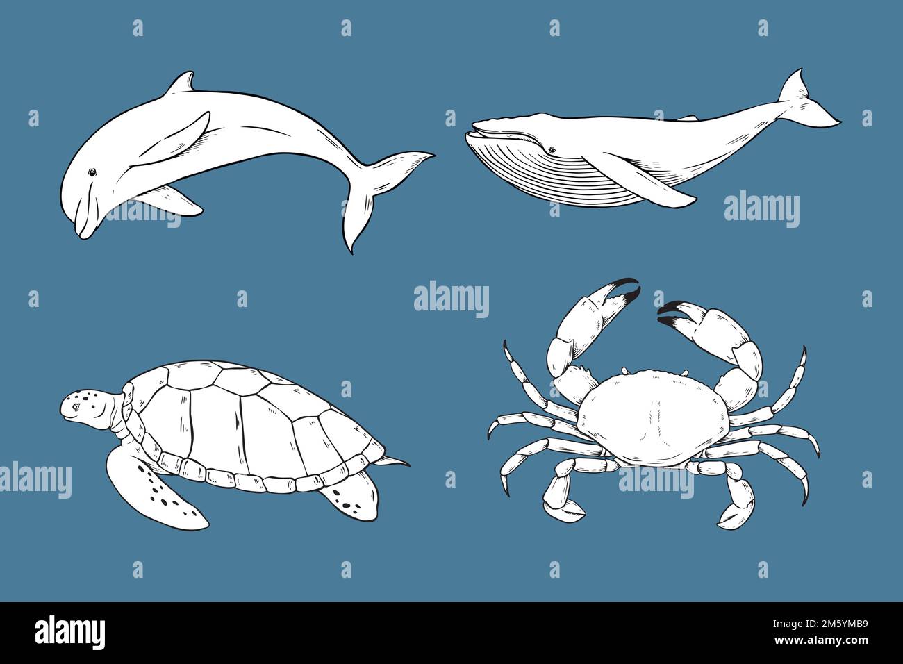 Vector Marine Animal Sticker Kollektion in Schwarz und Weiß Stock Vektor
