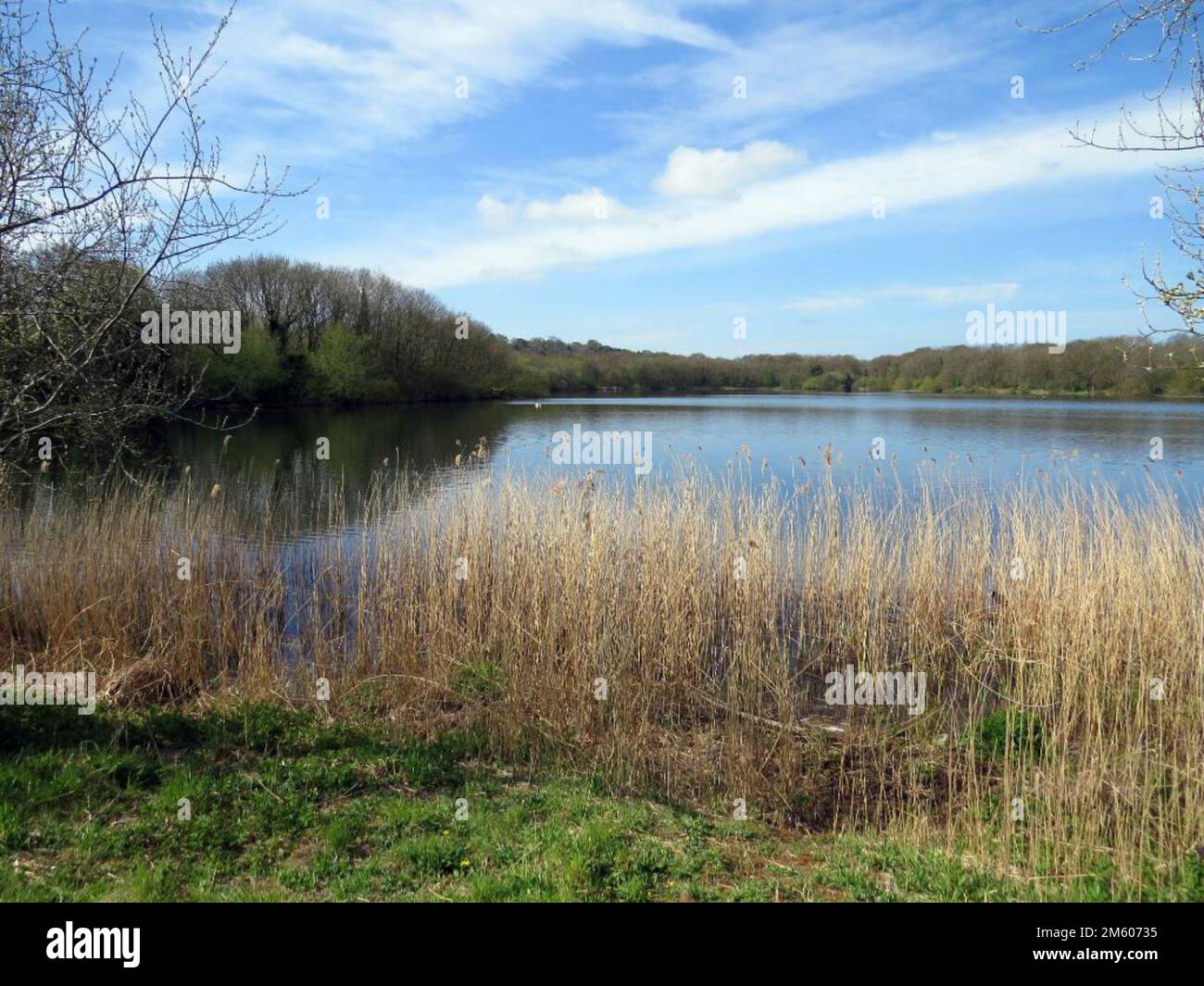 Abbots Holzsee Stockfoto