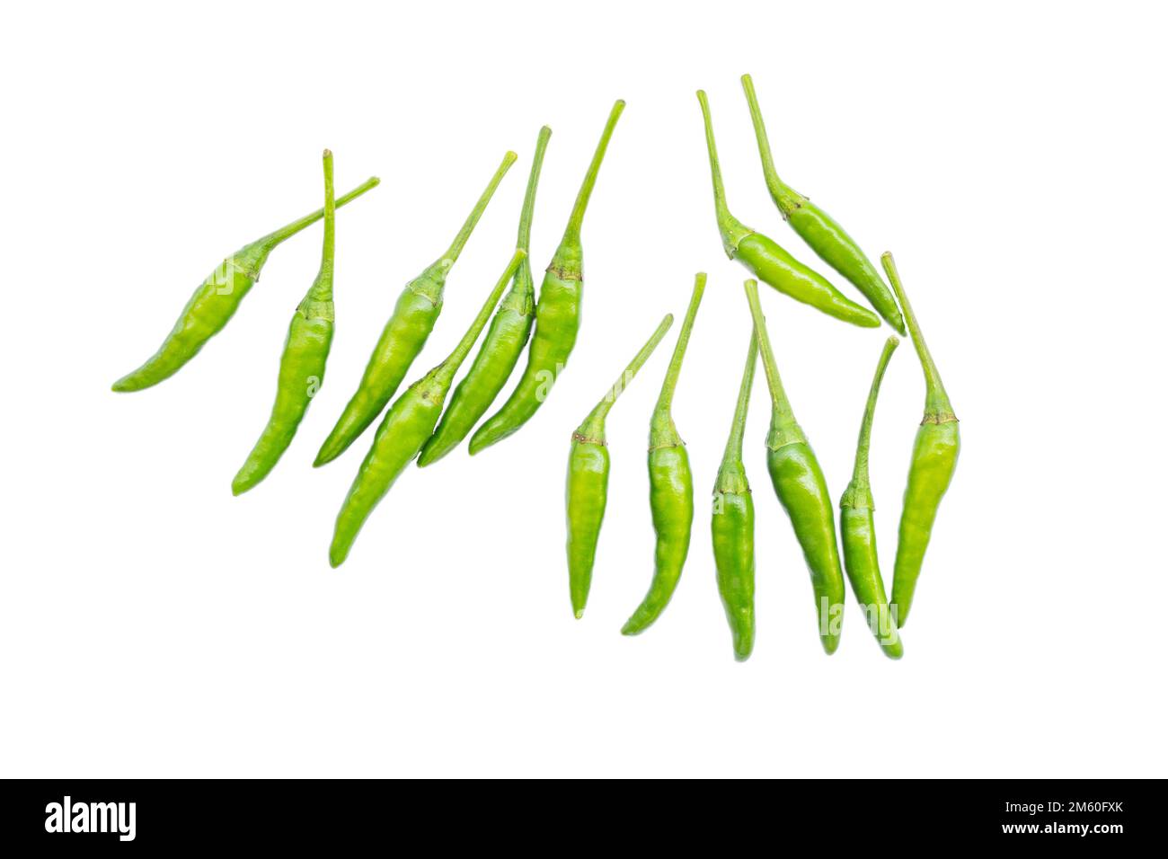 Kleine grüne Chilischoten, auch bekannt als Capsicum annuum (Chilis) und Capsicum frutescens, isoliert auf weiß Stockfoto