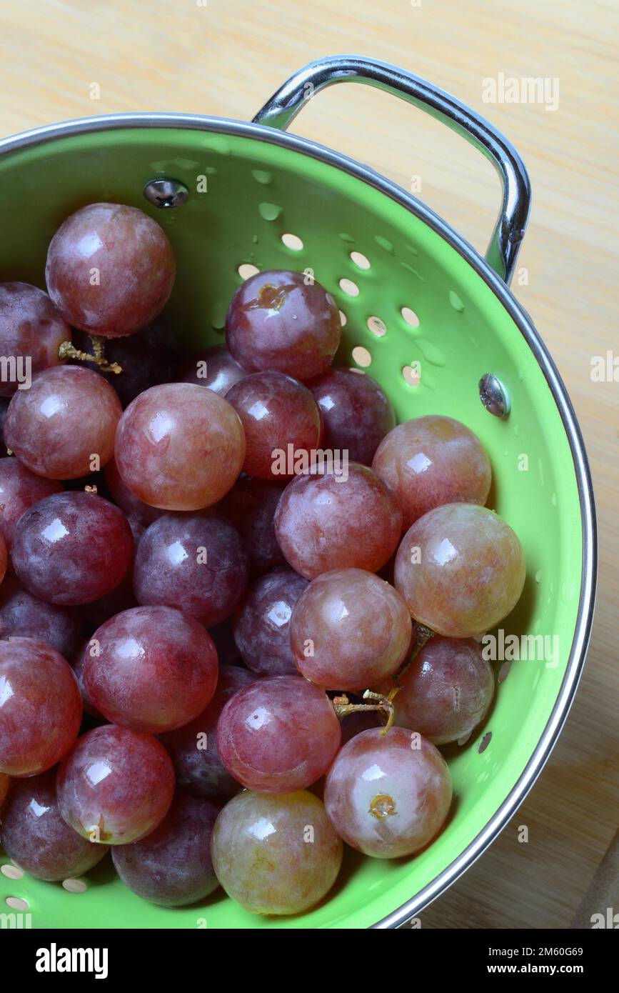 Rote Weinrebe (Vitis vinifera) in Siebschale Stockfoto