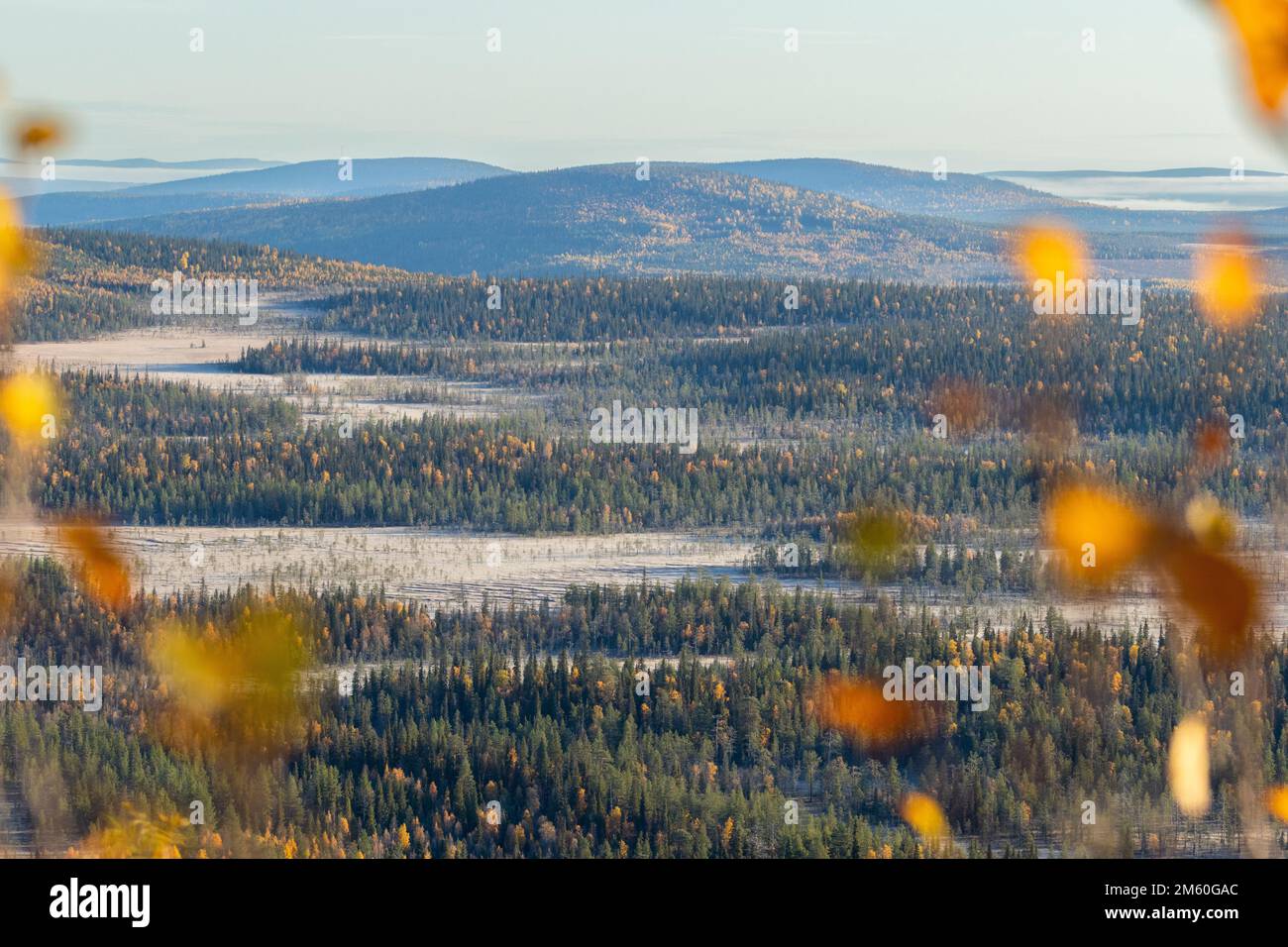 Genießen Sie die Landschaft mit Mooren, Wäldern und Bergen an einem kalten Herbstmorgen im Salla-Nationalpark in Nordfinnland Stockfoto