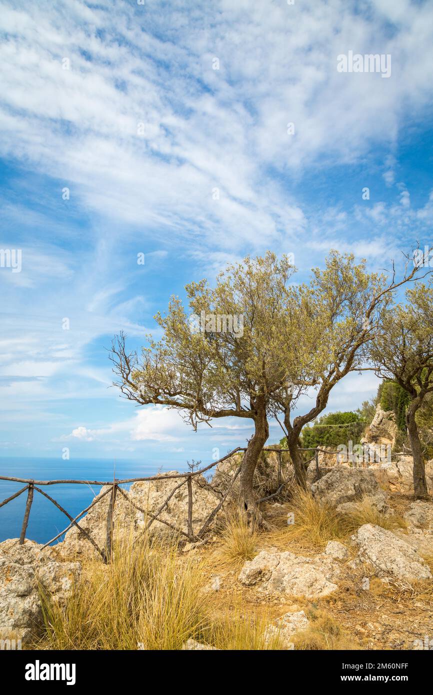 Blick auf das Mittelmeer von den Klippen, in der Nähe von Valldemossa, Mallorca, Spanien Stockfoto
