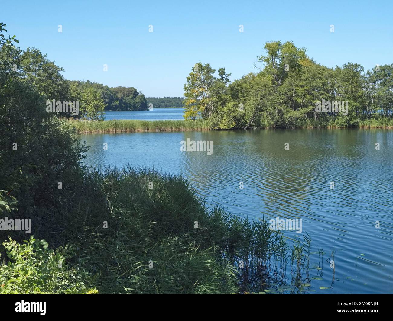 Schaalsee auf der Halbinsel Kampenwerder im UNESCOBiosphärenreservat