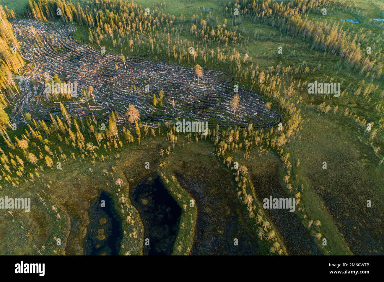 Eine Luftlinie aus klarem Bereich neben einem Moor in Nordfinnland während eines Sommerabends Stockfoto