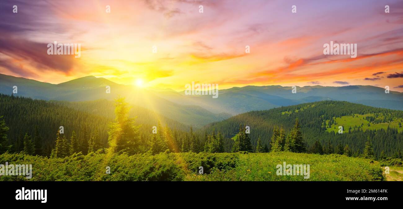 Helle Berglandschaft mit Berggipfeln, Wäldern und Sonnenuntergang. Karpaten. Ukraine. Breites Foto. Stockfoto