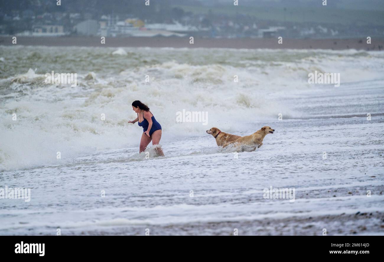 Seaford, Großbritannien. 1. Januar 2023. Wetter im Vereinigten Königreich: Eine Schwimmerin und ihre Hunde feiern den Neujahrstag, indem sie mutig die stürmischen Meere in Seaford in East Sussex, Großbritannien, testen. Kredit: Jim Holden/Alamy Live News Stockfoto