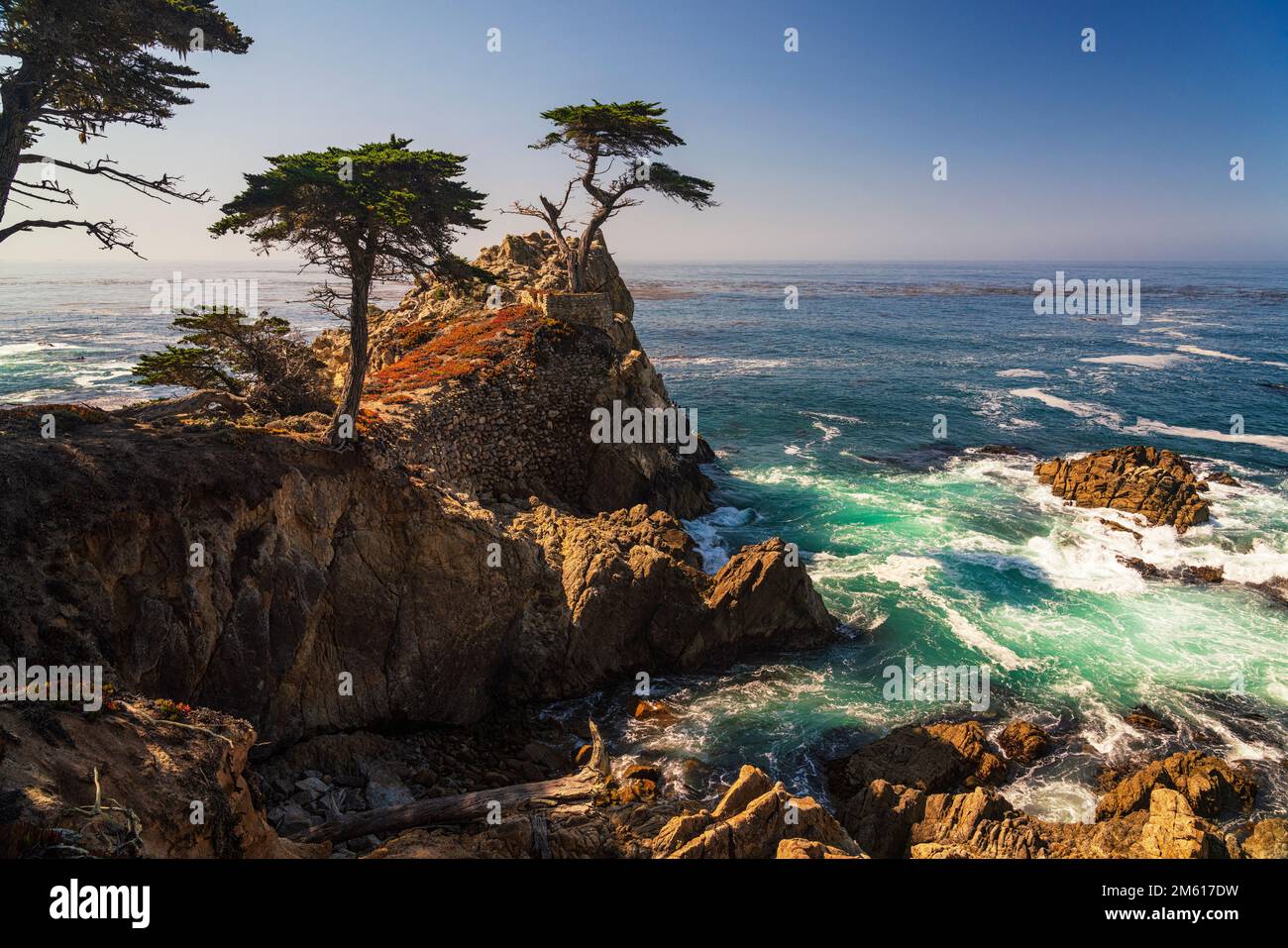 Die berühmte Lone Cypress am 17 Mile Drive in der Nähe von Monterey und Carmel, Kalifornien Stockfoto