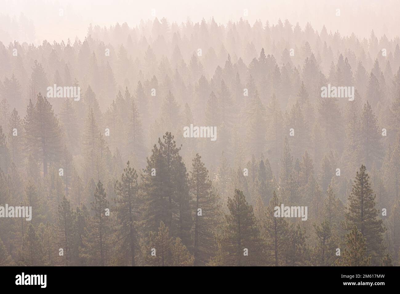 Im September 2022 rauchen die Wälder und Berge bei Sonnenaufgang Stockfoto