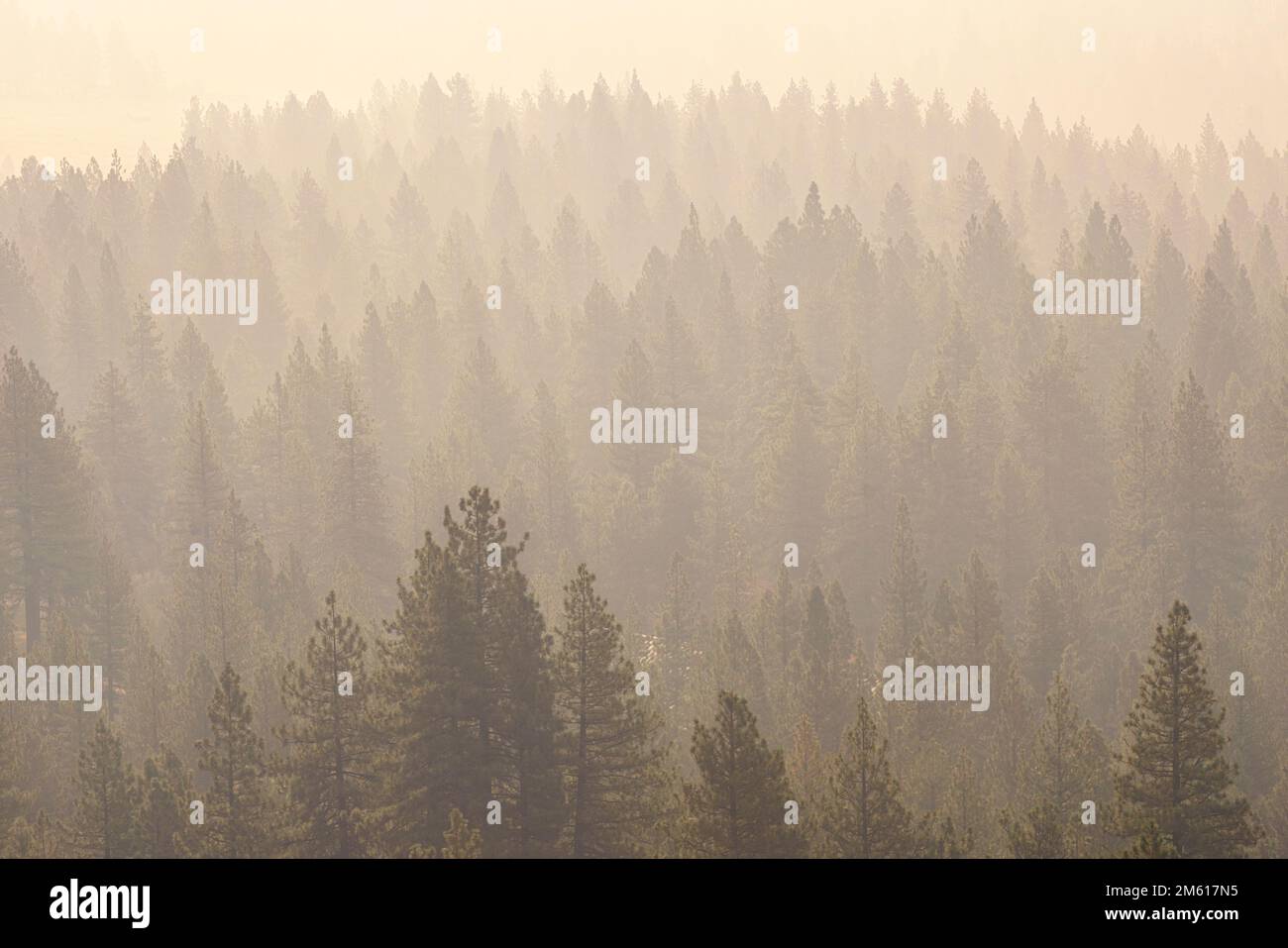 Im September 2022 rauchen die Wälder und Berge bei Sonnenaufgang Stockfoto