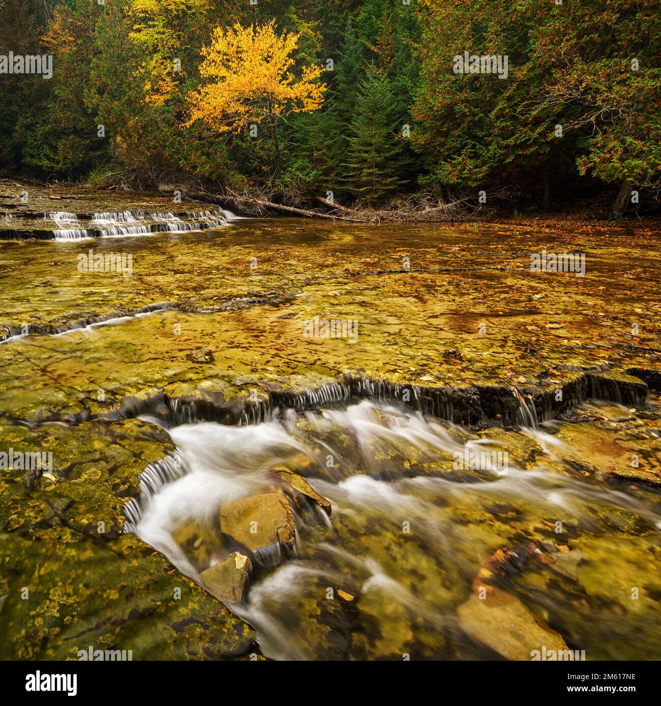 Herbst an den Au Train Falls auf der oberen Halbinsel von Michigan Stockfoto